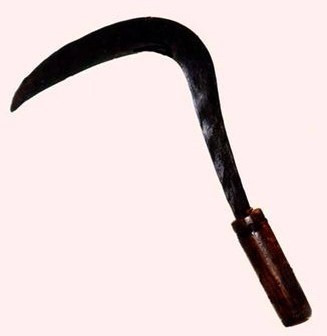 다운로드 (17).jpg