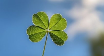 다운로드 (6).jpg