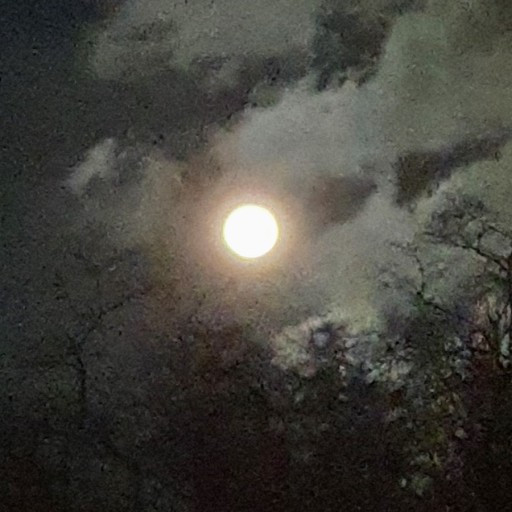 다운로드 (2).jpg