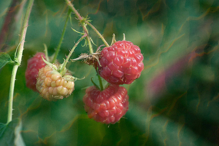 다운로드 (34).jpg