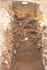 출토당시 모습.jpg