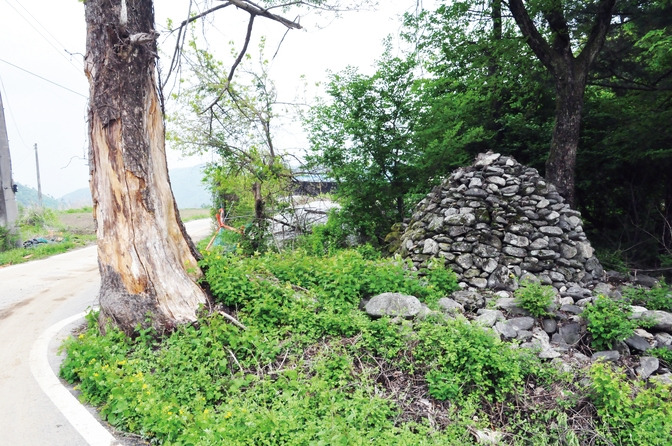 백자리돌탑 세종신문.jpg