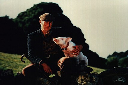 (11) 꼬마돼지 베이브 스틸컷.jpg