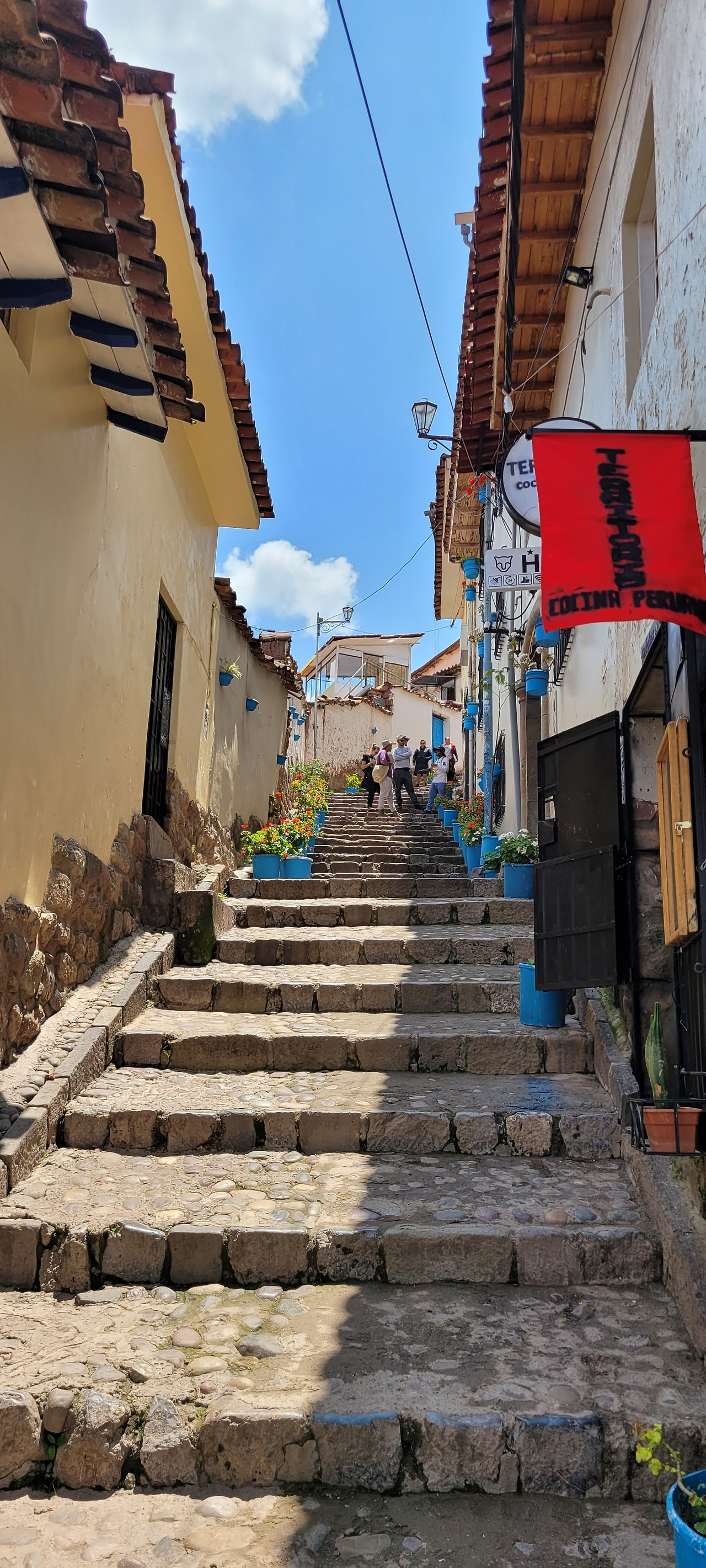 20240320_121232 (1).jpg