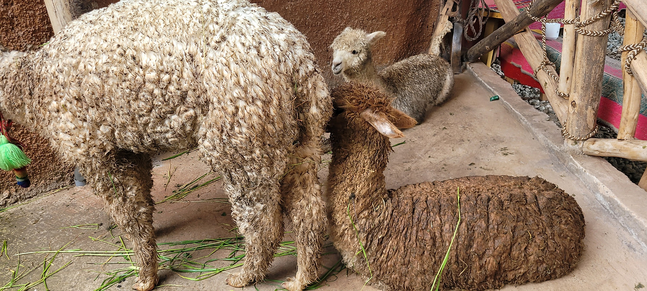 20240321_082900 (1).jpg