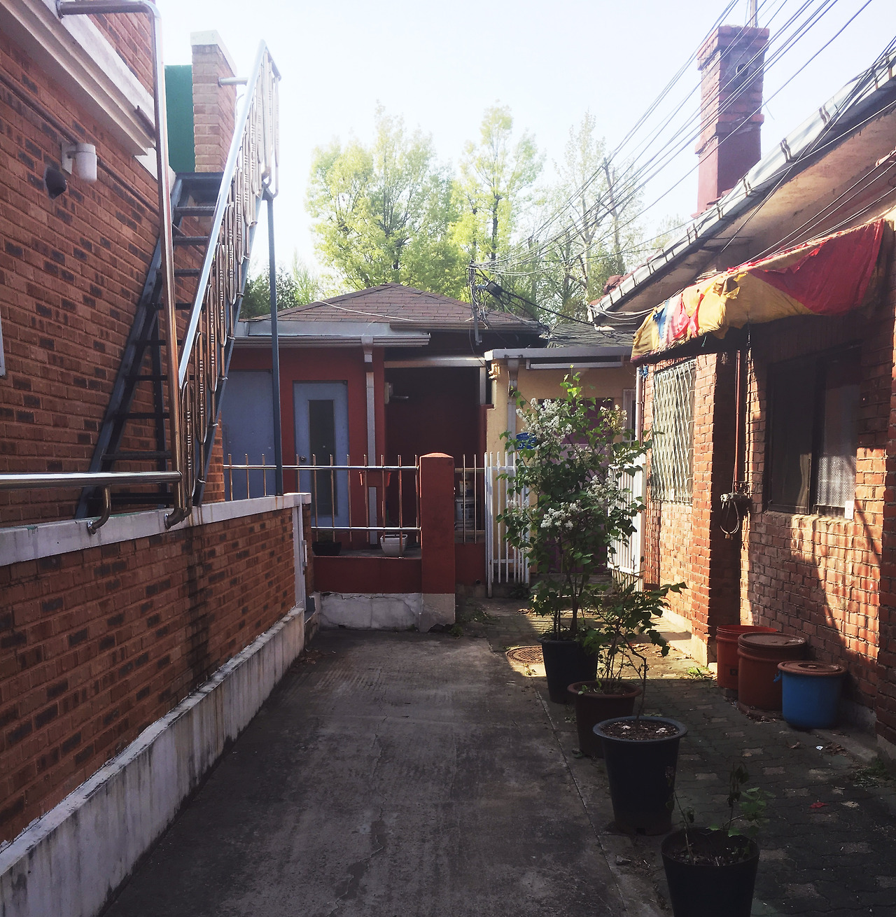 오래된집 골목.jpg