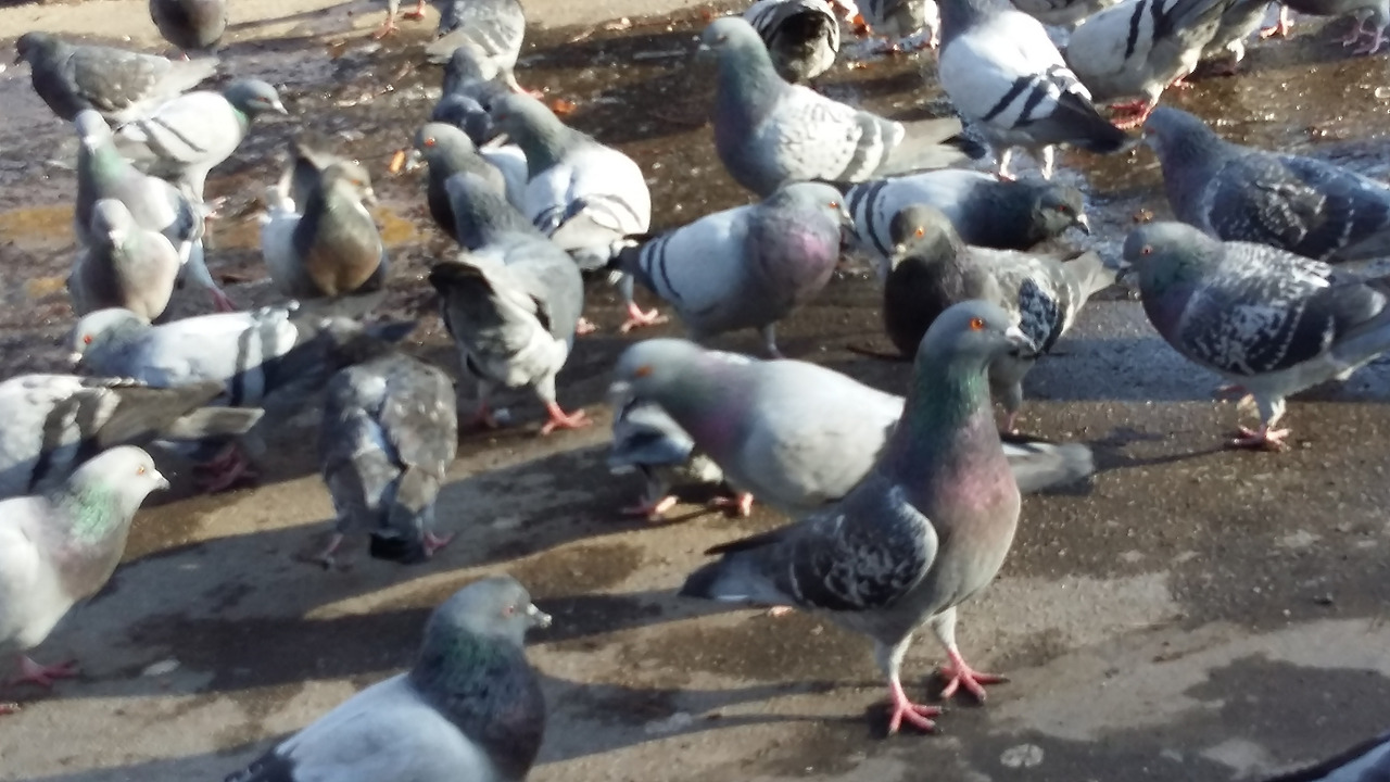 20170115_112259 - 복사본.jpg