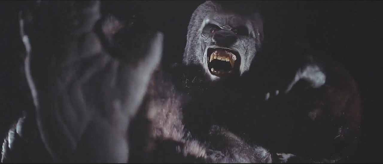 King.Kong.1976.1080p.BluRay.H264.AAC-RARBG.mp4_20241017_163930.526.jpg