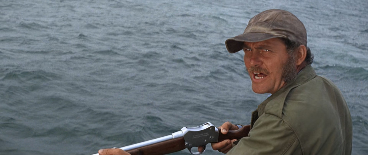 Jaws.1975.1080p.BluRay.x265-RARBG.mp4_20241118_201543.849.jpg