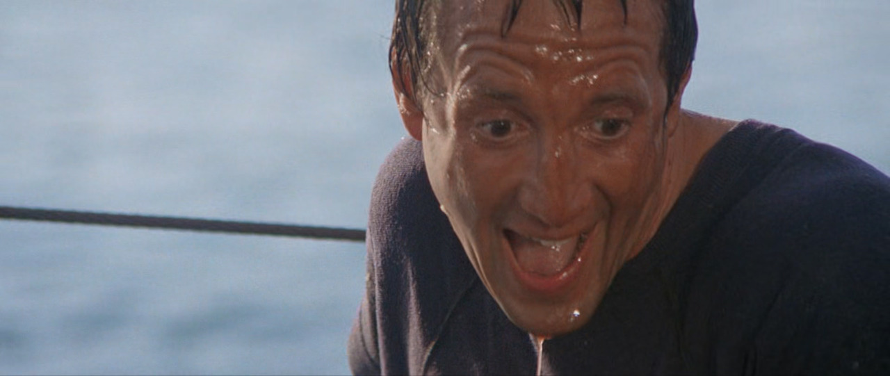 Jaws.1975.1080p.BluRay.x265-RARBG.mp4_20241118_202140.444.jpg