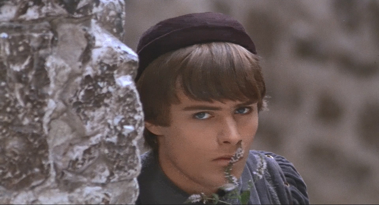Romeo.and.Juliet.1968.1080p.BluRay.X264-AMIABLE.mkv_20241112_172348.654.jpg