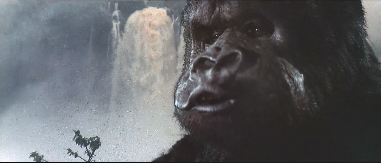 King.Kong.1976.1080p.BluRay.H264.AAC-RARBG.mp4_20241017_163035.197.jpg