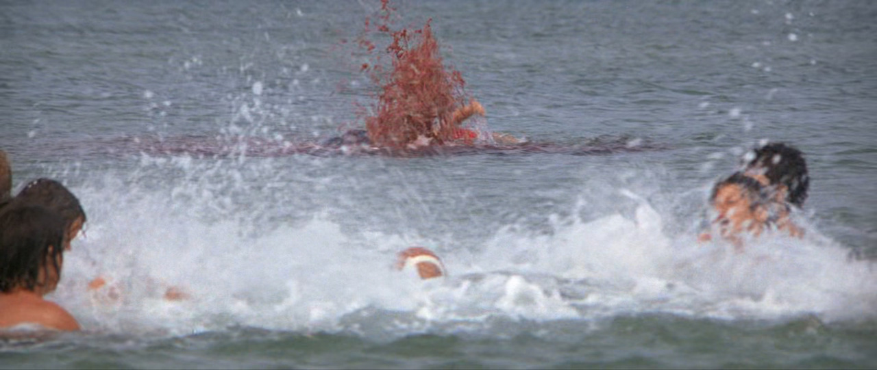 Jaws.1975.1080p.BluRay.x265-RARBG.mp4_20241118_200121.909.jpg