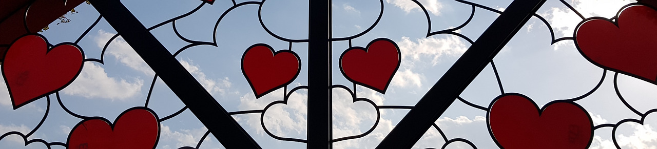 2018.10.28일 가을  순천만 국가 정원 (10).jpg