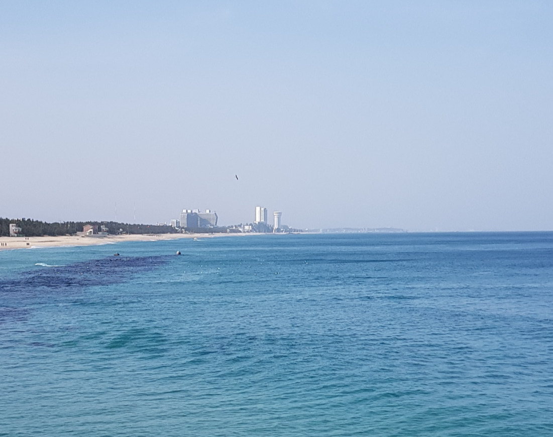 2019.2.5일 안목해변 바다 (2).jpg