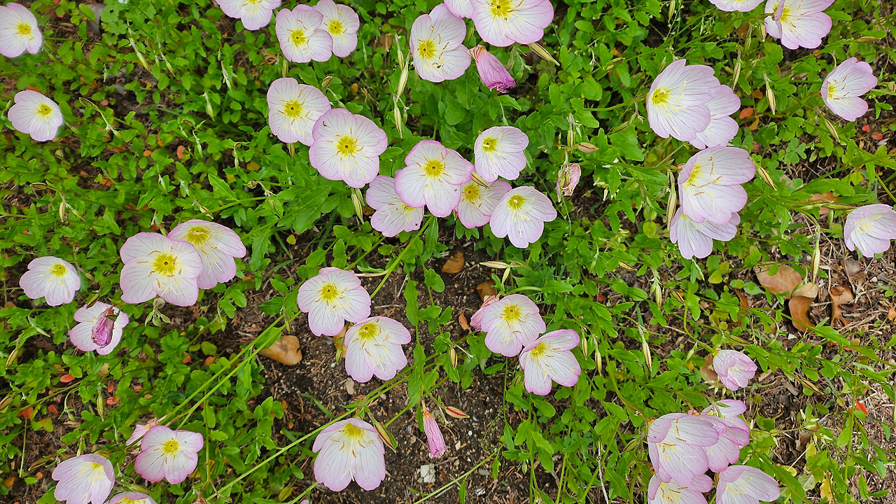 20240508_144945 (1).jpg