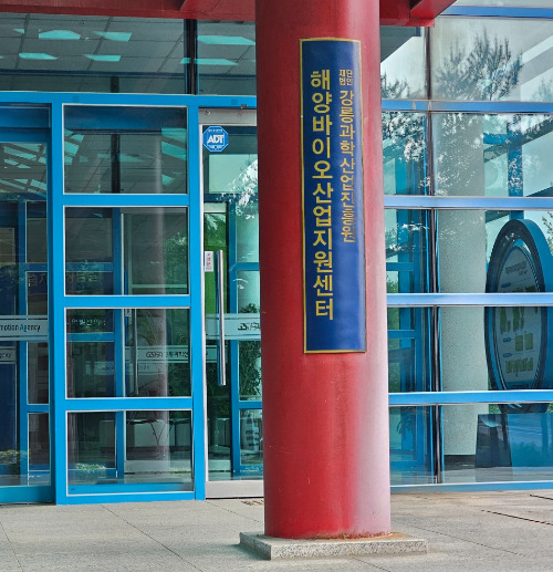 강릉 바이오.jpg