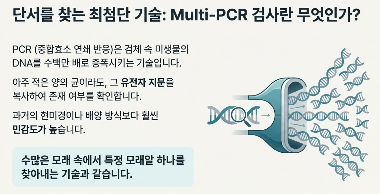 PCR 검사.jpg