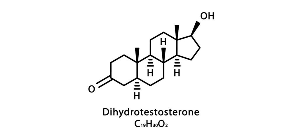 dht-dihydrotestosteron-1024x480.jpg
