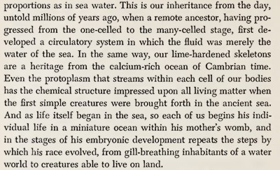 원문2 우리를 둘러싼 바다.jpg