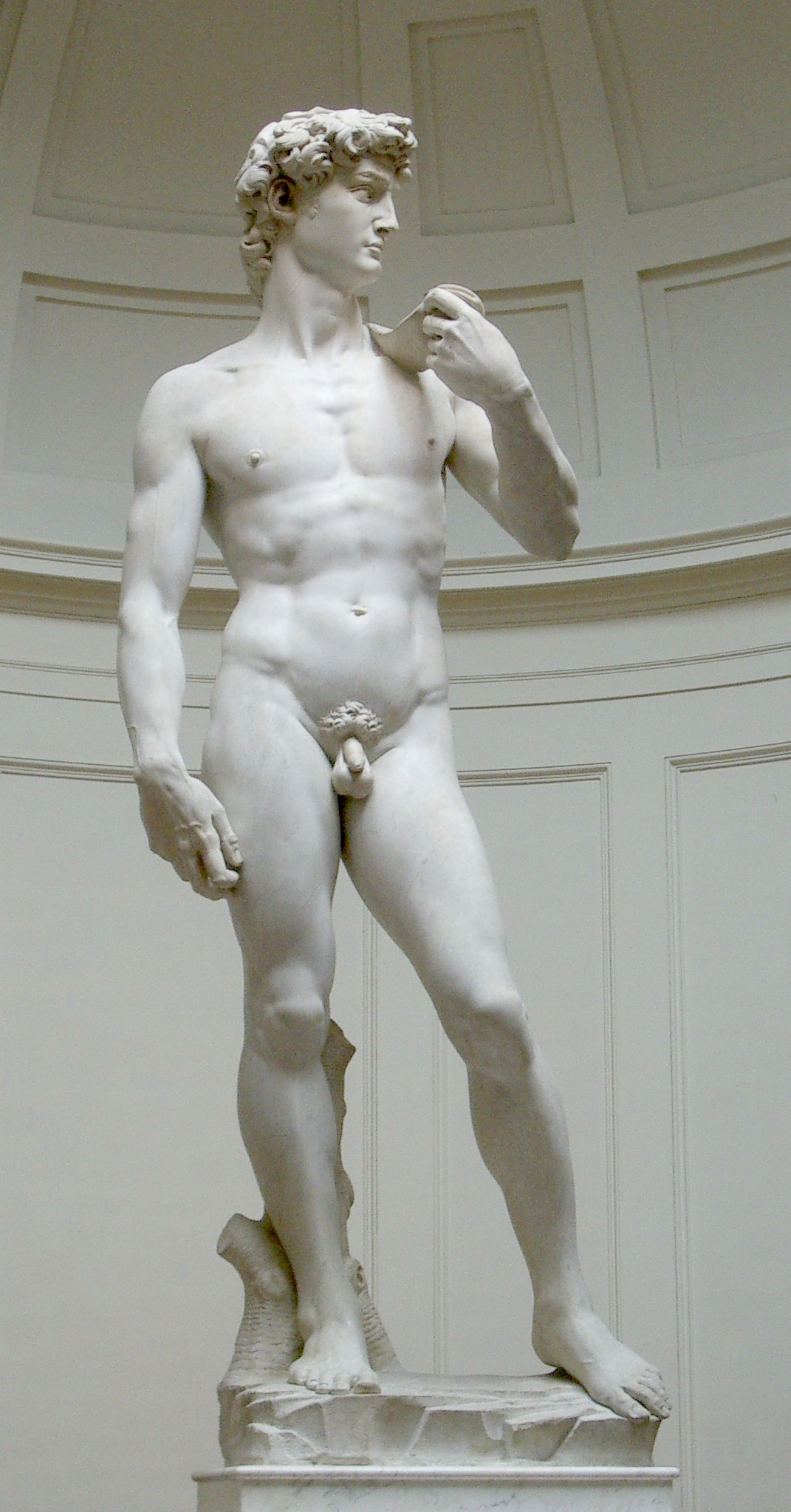 david-1504.jpg