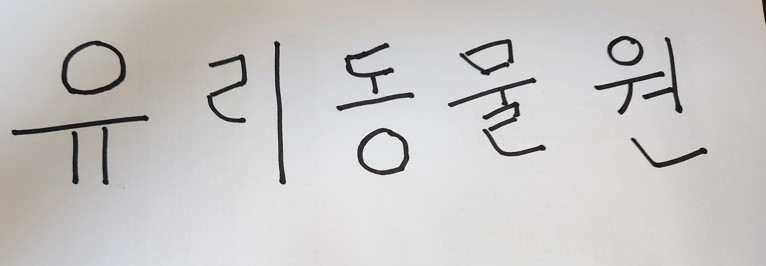 화면 캡처 2023-08-25 014155.jpg