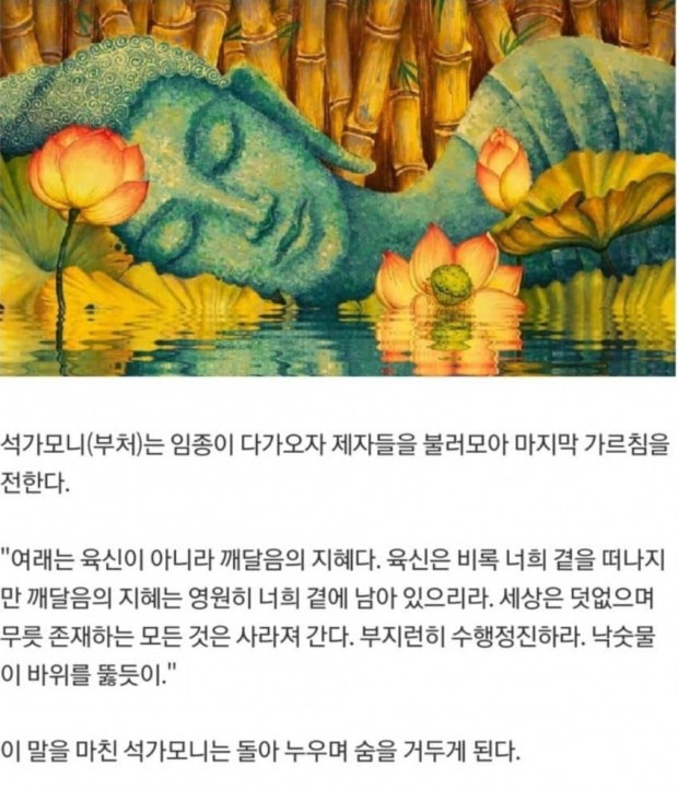 다운로드 (5).jpg