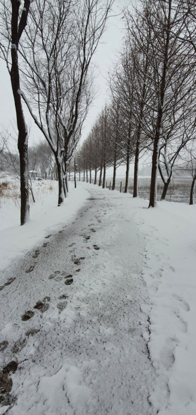 다운로드 (6).jpg