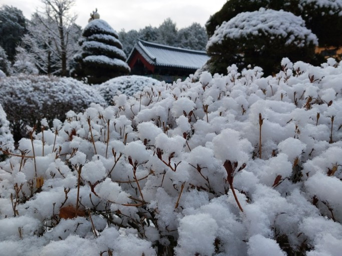 다운로드 (4).jpg