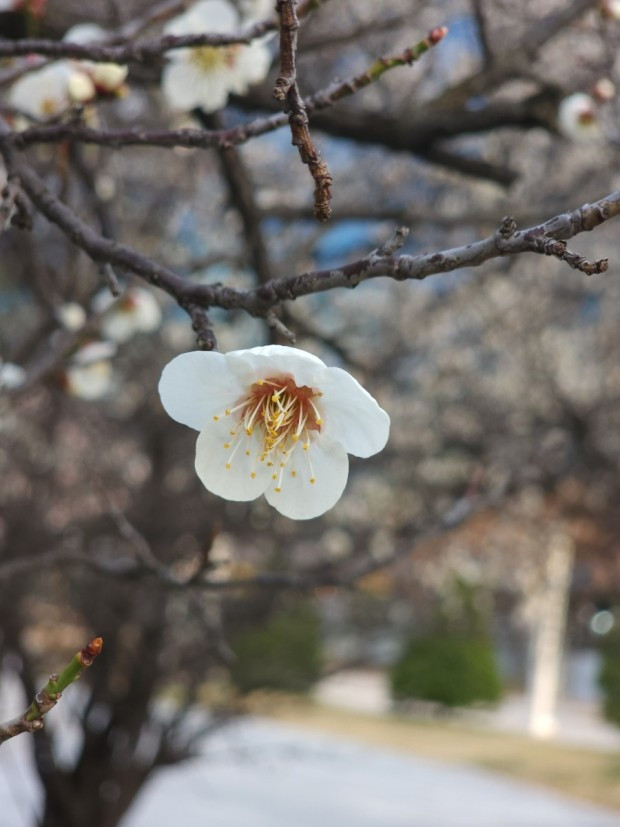 다운로드 (3).jpg