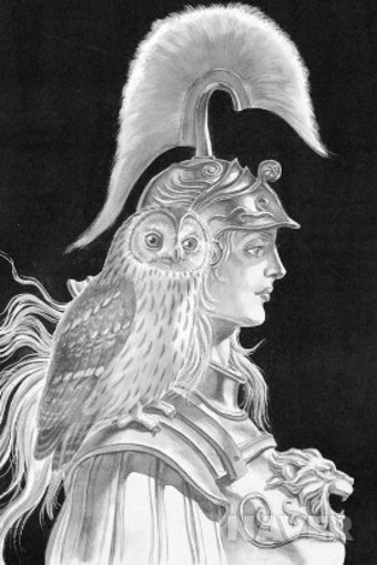 미네르바의부엉이.jpg