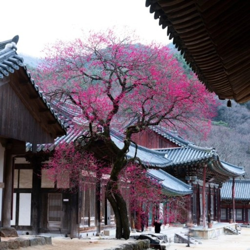 다운로드 (5).jpg