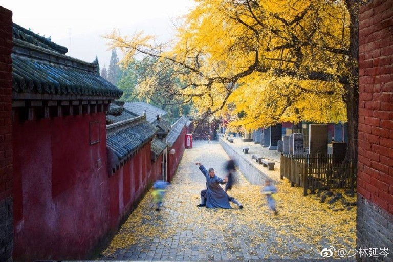 다운로드 (5).jpg