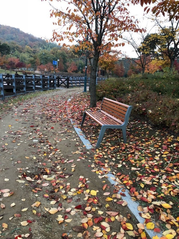 다운로드 (1).jpg