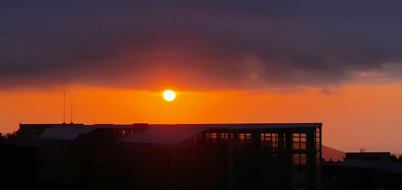 20210512_191318.jpg