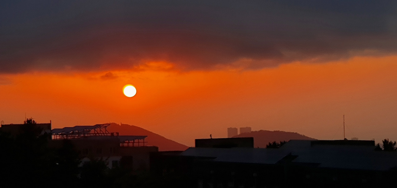20210512_191641.jpg