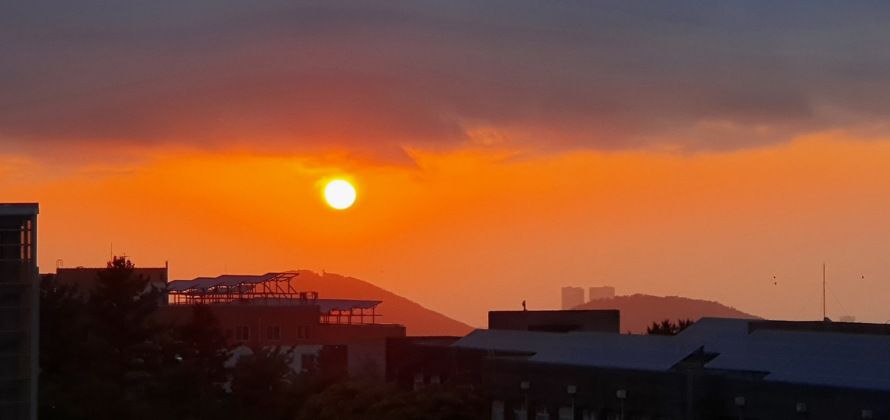 20210512_191603.jpg