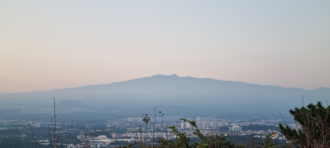 20211026_064744 (1).jpg