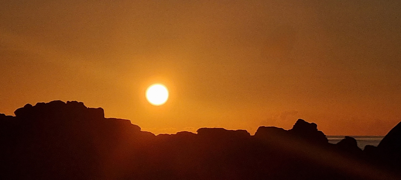 20210829_061238.jpg