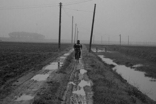 다운로드 (1).jpg