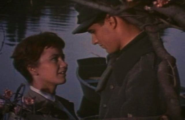 A_Time_to_Love_and_a_Time_to_Die_%281958%29_trailer_3.jpg