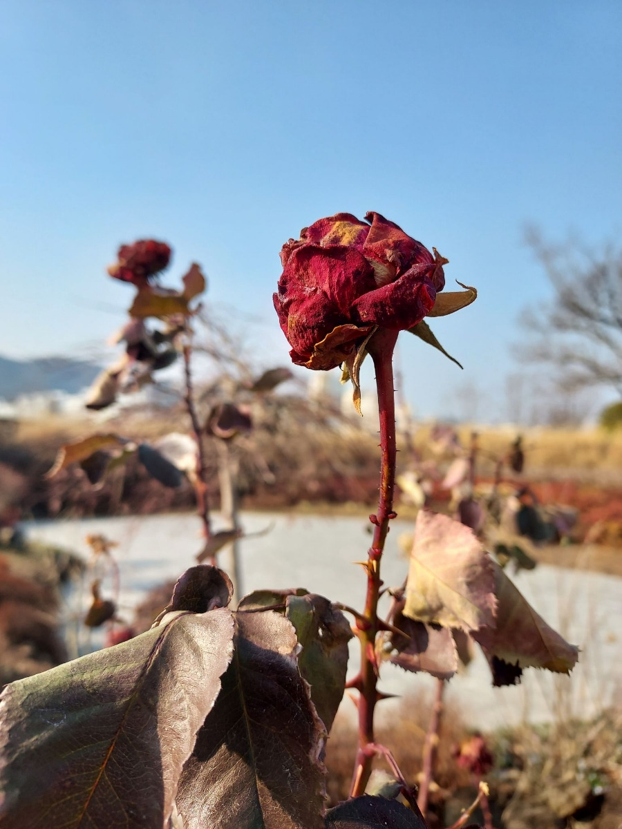 카지노 게임 사이트