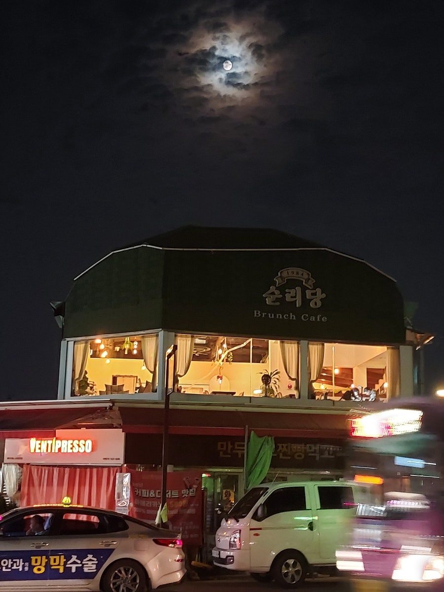 카지노 게임 사이트