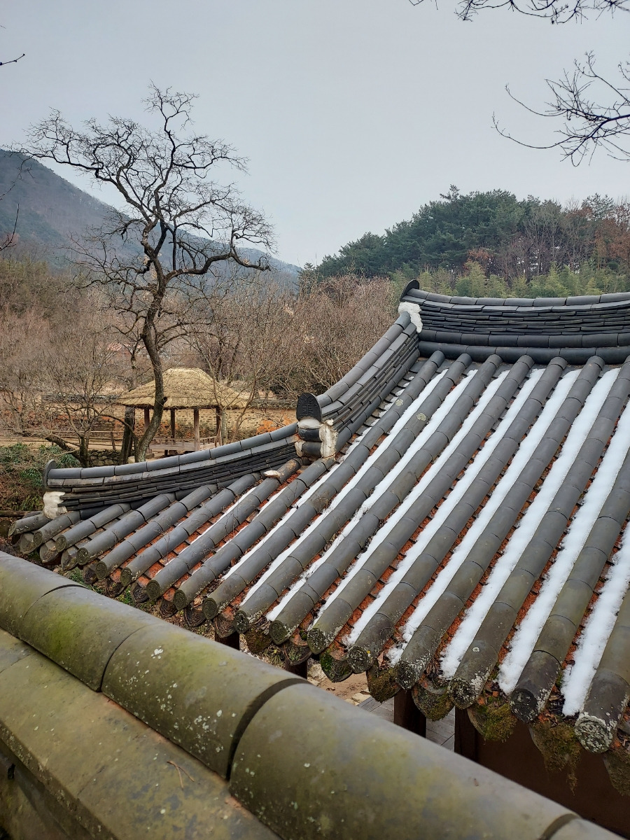 온라인 카지노 게임
