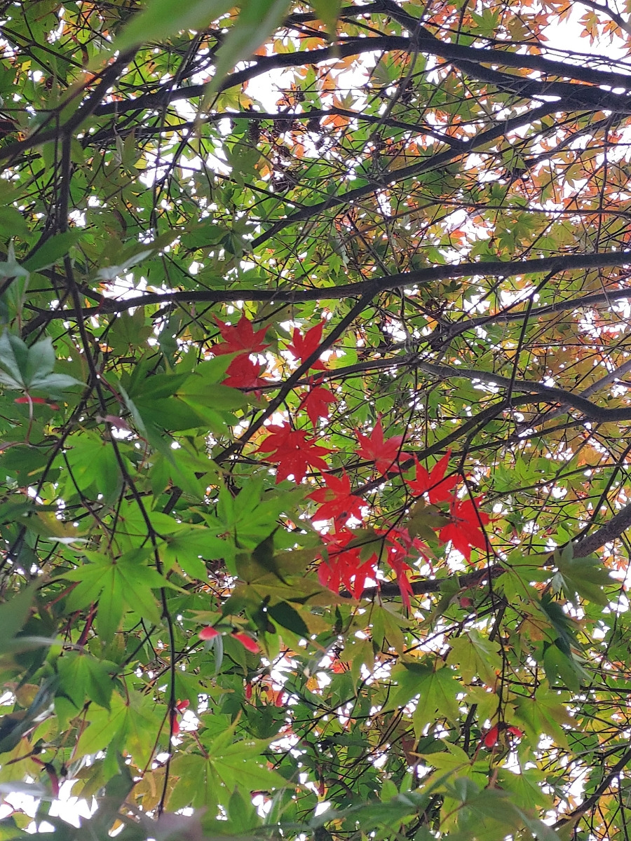 카지노 게임 사이트