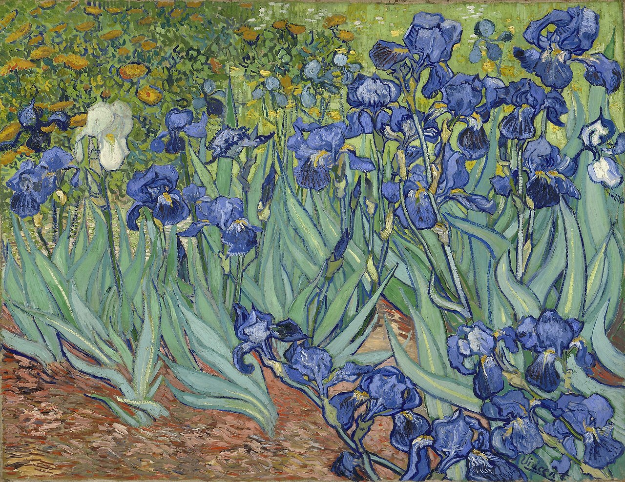 Vincent_van_Gogh Irises (1889).jpg