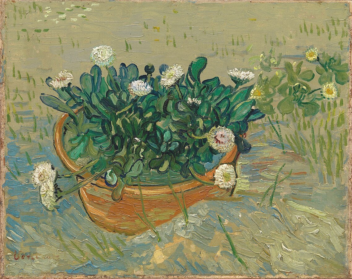 1888 May Bowl with Daisies - Daisies, Arles.jpg