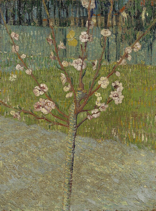 1888 Almond tree in blossom.jpg