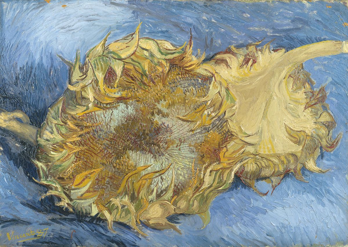 1887 Two_sunflowers.jpg