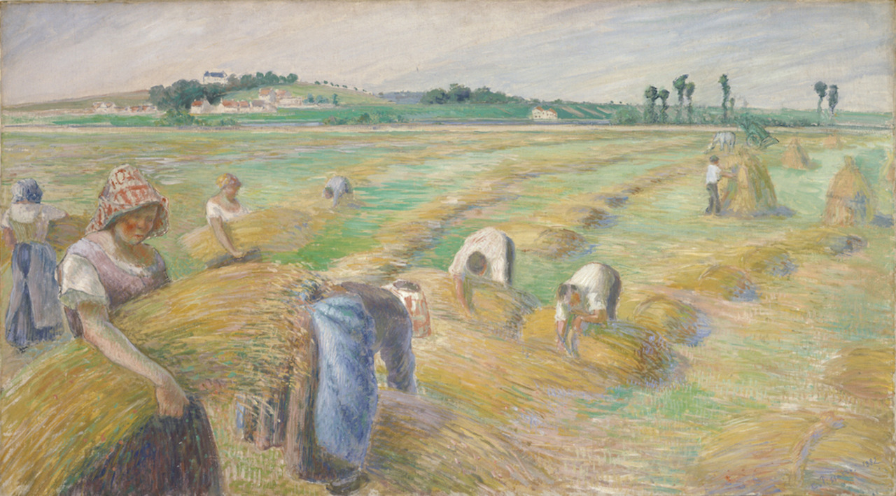 피사로의 수확 (Camille Pissarro) - The Harvest (1882).jpg